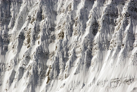 Jasper National Park.の写真素材