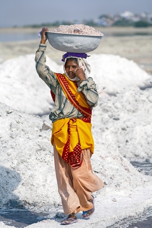 SAMBHAR LAKE TOWN-NOVEMBER 19  Indian woman working on the salt farm, November 19, 2012, in Sambhar lake town, Sambhar salt lake, Rajasthan, Indiaのeditorial素材