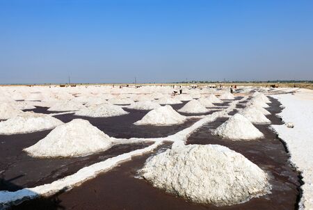 The Sambhar Salt Lake, India's largest inland salt lake, sits 96 km south west of the city of Jaipur (Northwest India) and 64 km north east of Ajmer along National Highway 8 in Rajasthan. のeditorial素材