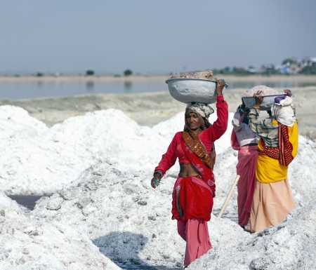 SAMBHAR LAKE TOWN-NOVEMBER 19: An unidentified Indian women working on the salt farm, November 19, 2012, in Sambhar lake town, Sambhar salt lake, Rajasthan, Indiaのeditorial素材