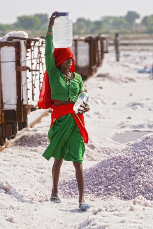 SAMBHAR LAKE TOWN-NOVEMBER 19: An unidentified young Indian woman bears drinking water for working at a salt farm, November 19, 2012, in Sambhar lake town, Sambhar salt lake, Rajasthan, India
のeditorial素材