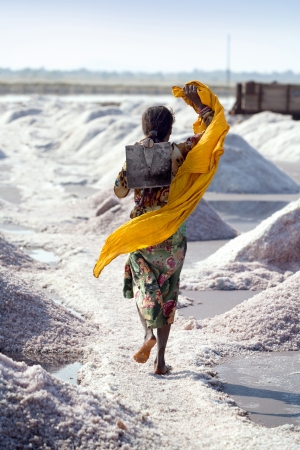 SAMBHAR LAKE TOWN-NOVEMBER 19: An unidentified Indian woman working on the salt farm, November 19, 2012, in Sambhar lake town, Sambhar salt lake, Rajasthan, Indiaのeditorial素材