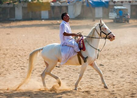 PUSHKAR, INDIA - NOV. 21, 2012:  An unidentified rider on a white horse attends at the Pushkar fair in Pushkar, Rajasthan, India. Farmers and traders from all over Rajasthan flock for the annual fairのeditorial素材
