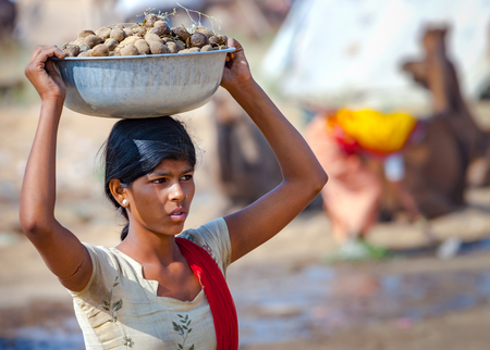 PUSHKAR, INDIA - NOVEMBER 20, 2012: Young Indian woman carrying a basin on her head of camel dung collected for use as fuel at the annual camel fair in Pushkar, Rajasthan, India.のeditorial素材