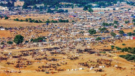 Pushkar Fair, top view. The Pushkar fair is one of India's largest camel, horse and cattle fairs....