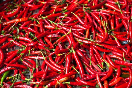 semi dry red chiliの写真素材