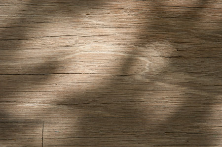 old wood