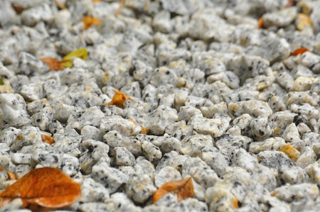 white granite gravel in garden with fall leafの写真素材