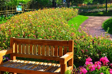 bench front of a flower gardenの写真素材