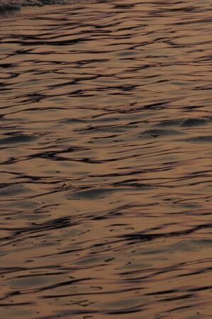 golden water wave, sunsetの写真素材