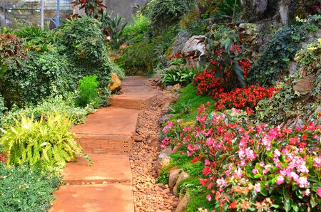 beautiful tropical gardenの写真素材