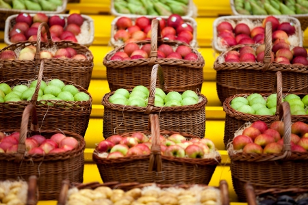 A variety of green and red applesの写真素材