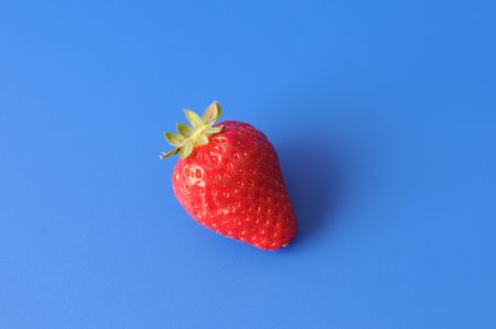 a single  strawberry on a blue backgroundの写真素材