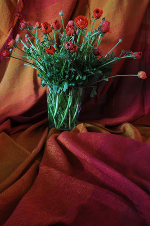 red ranunculus flowers in a glass vase  on a silk drapery