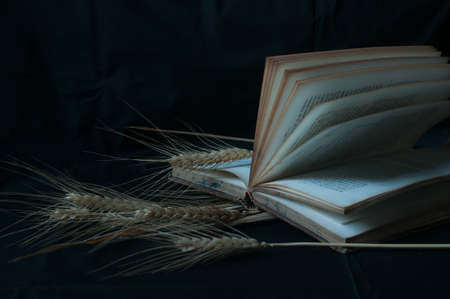 old book with open pagesの写真素材