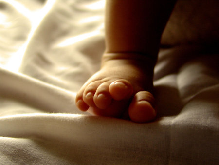 baby feet                            