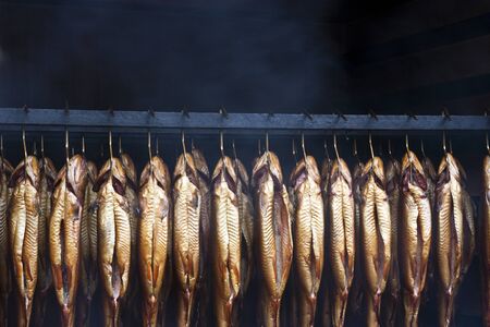 Smoking brook trout fish in an traditional ovenの写真素材