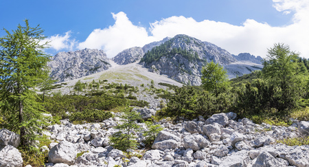 View from Maltschacher Alm to the Karawanks with mountains Hochstuhl, Klagenfurter Spitze and EdelweiÃspitzenの写真素材