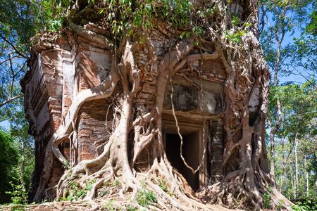 Prasat Pram temple entrance in Koh Ker archaeological site, Cambodia. The Prasat Pram has five towers or prasats (pram = five). Two of the towers are pictorially covered by rootsの写真素材