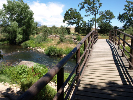 Wooden Bridge Over River