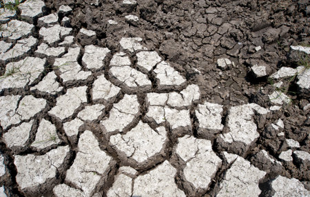 Cracked soil ground 