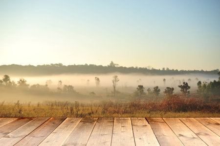 Background with wooden deck の写真素材