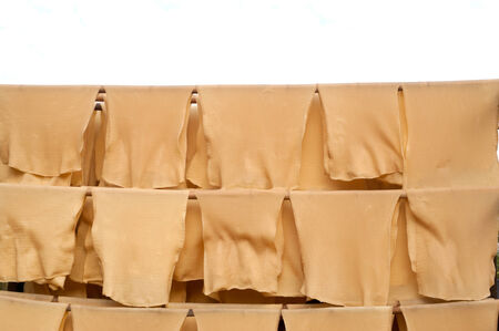 Rubber production,Baking process timber with solar energy の写真素材