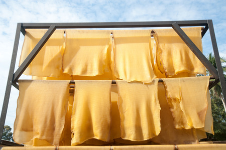 Rubber production,Baking process timber with solar energy の写真素材