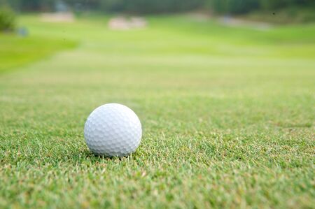 golf ball on green grassの写真素材