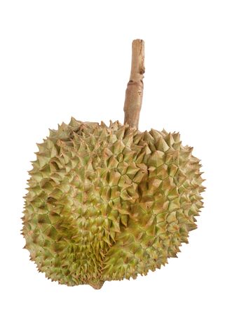 durian,king of fruit form thailand,の写真素材