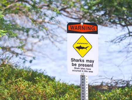 Shark warning sign posted on a beach.の写真素材