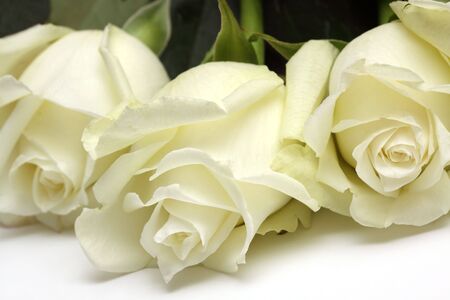 The bouquet of White roses lays on a white backgroundの写真素材