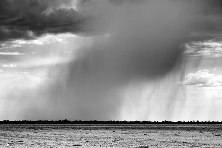 shower on etosha pan Namibiaの写真素材