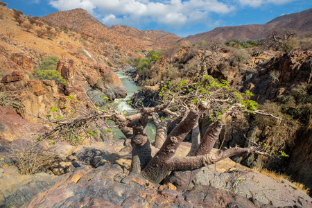 Epupa Falls on the Kuene River, Namibiaの写真素材