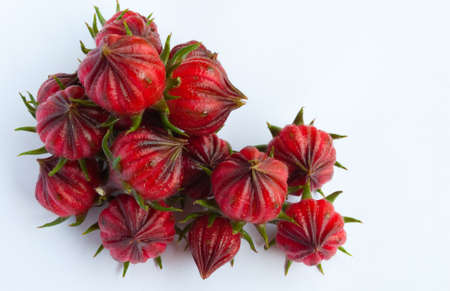 Roselleの写真素材