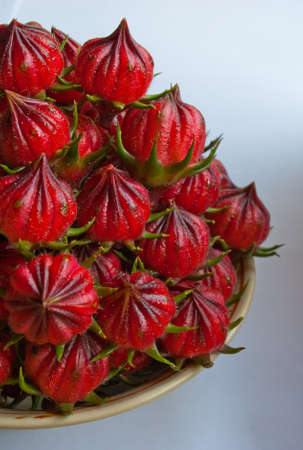 Roselleの写真素材