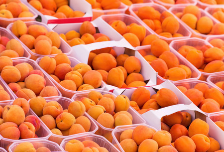 Apricots offered on the street marketの写真素材