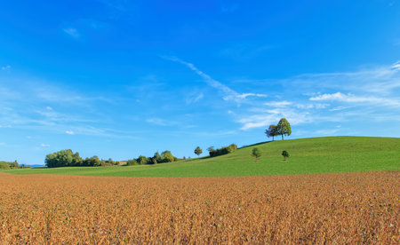 Countryside in Switzerland in the beginning of autumn.