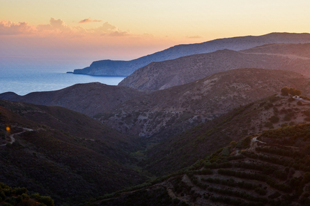 View of a Cretan landscape with olive trees on sunset, island of Crete, Greeceの写真素材