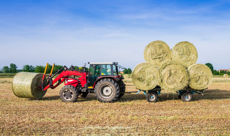 Tractor collecting hay bales in the fields