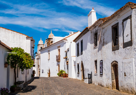 Stunning cobblestone alley with traditional white houses in Monsaraz, walled medieval village in...