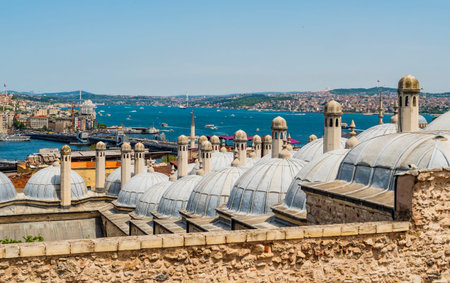 Impressive view of Galata district, Bosphorus strait and the Golden Horn through the historic domes of Suleymaniye Mosque, Istanbul, Turkeyの写真素材