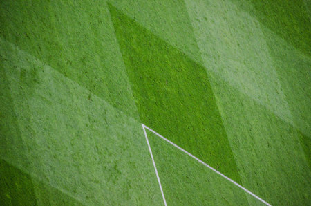 grass soccer field