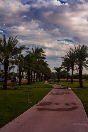 road in the parkの写真素材