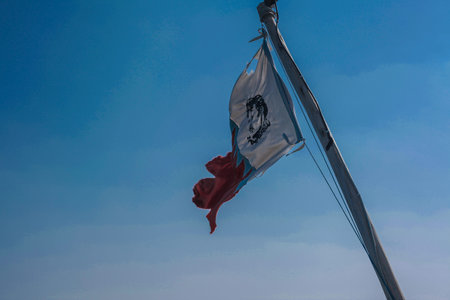 flag in the wind