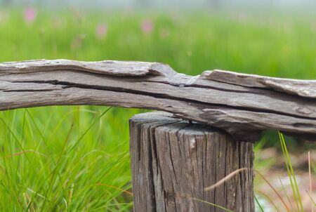 wood fence in flower fieldsの写真素材