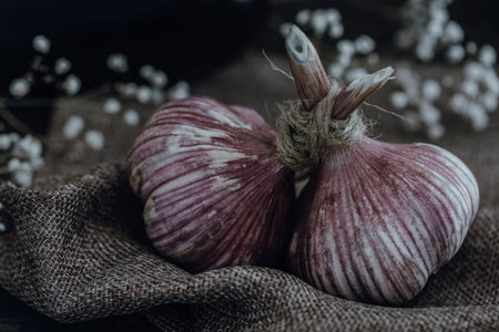 Garlic on sackcloth and white flowers on black background, vintage tone