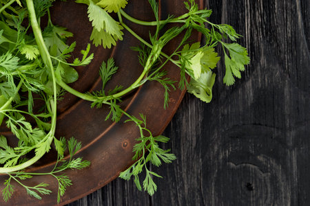 Fresh parsley on a dark wooden background, top view, copy spaceの写真素材