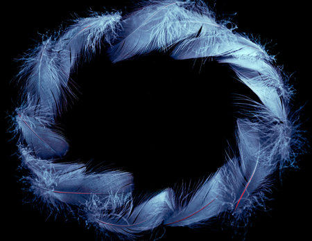 minimalist board of colored feathers on black background. cozy composition with space for textの写真素材