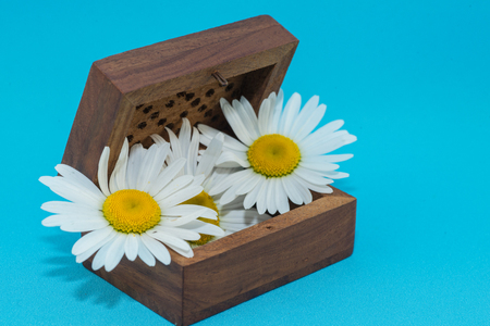 Mother's day theme. Chamomile, greeting card, casket and vintage photo frame on wooden background in Shabby Chic style. Place for photo or text.の写真素材